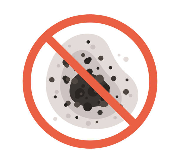 Mold Remediation for Rental Properties in Lindon, UT
